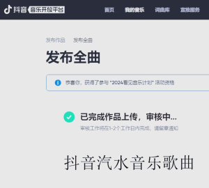 汽水音乐官网如何上传作品？音乐人后台入口与审核流程