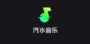 汽水音乐官网打不开显示403？访问限制与切换方案